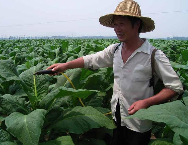 怎样正确辨别生物农药的真伪799 / 作者:UFO爱好者 / 帖子ID:77341